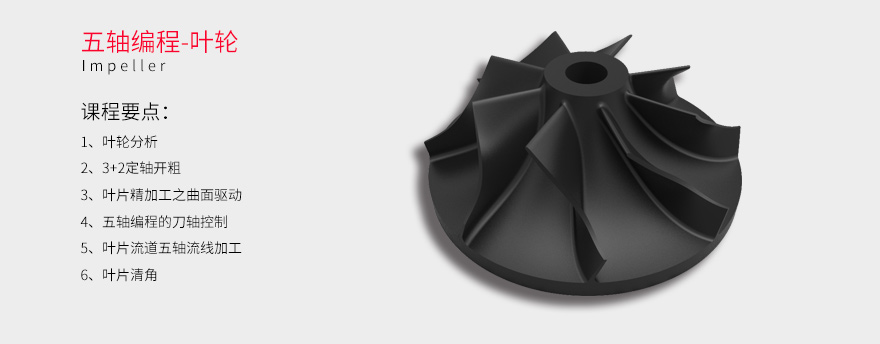 零基礎到進階：個人網站制作的終極培訓課程 (零基礎進階題和660先做哪個)