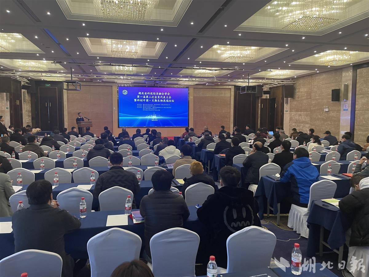 提升論壇影響力的全方位策略：獨家推廣秘籍 (提升論壇影響力的措施)