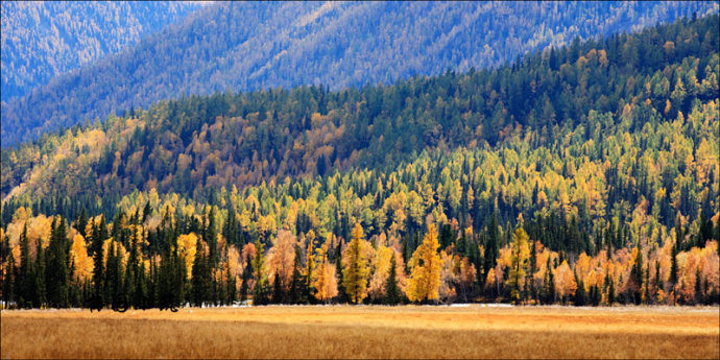 西伯利亞：西伯利亞是俄羅斯廣闊的地區，橫跨亞洲大陸。它以其自然資源和嚴寒的氣候而聞名。(西伯利亞新西伯利亞區別)