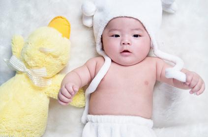 揭秘百度網(wǎng)頁制作秘訣：提升網(wǎng)站排名和流量 (揭秘百度網(wǎng)頁的軟件)