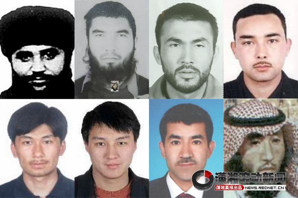 強勢突圍:東莞網站推廣優化必勝指南 (強勢突圍近義詞)