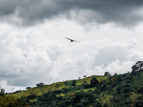 掌握網站開發技巧：從初學者到專業人士 (掌握網站開發的方法)
