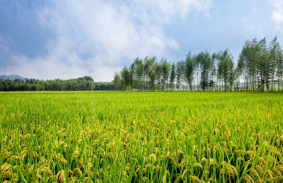 一站式小工程承包解決方案：從招標到完工 (一站式工程服務平臺)