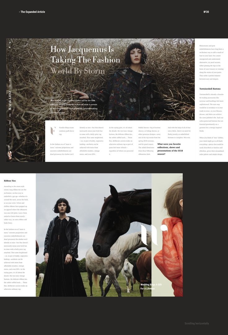 揭秘網站搭建的奧秘:從域名到頁面設計 (揭秘網站搭建方法)