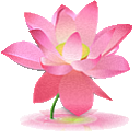 大藏經,乾隆大藏經,大正藏,道藏,正統道藏,嘉興藏,宣紙藏經,般若堂藏經書館