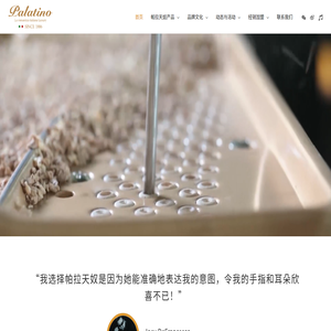 Palatino帕拉天奴鋼琴