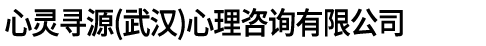 心靈尋源（武漢）心理咨詢有限公司