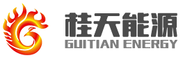 廣西桂天能源