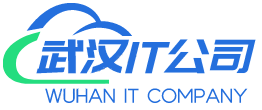武漢IT公司