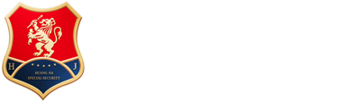高端安保·安全檢查·隨身護(hù)衛(wèi)