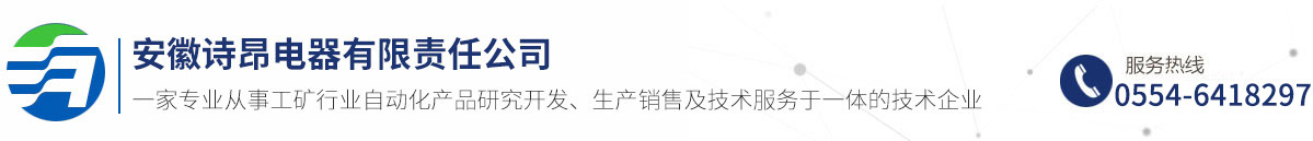 安徽詩昂電器有限責任公司