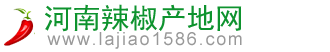 河南辣椒產地網