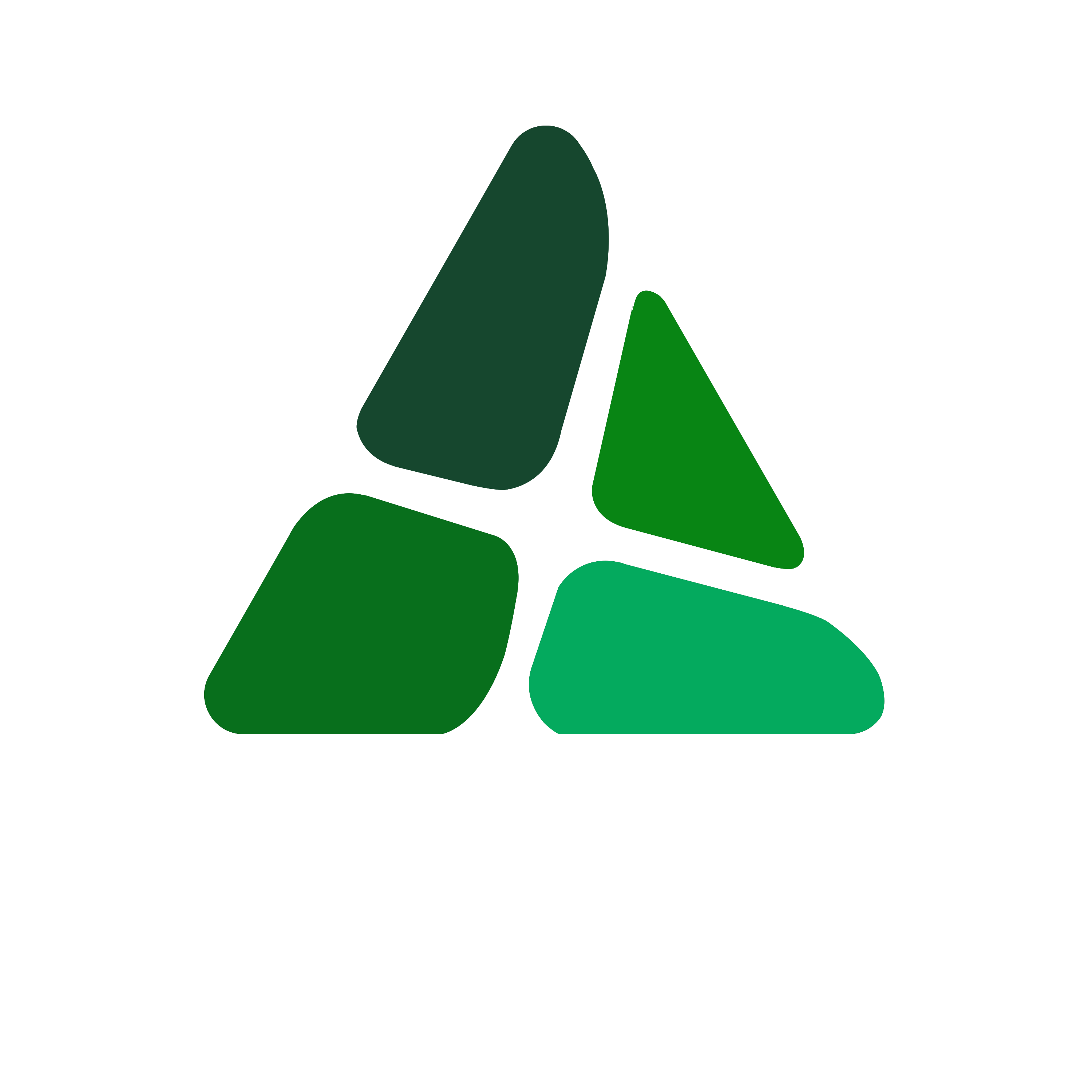 延邊霖天黑果花楸（不老莓）食品