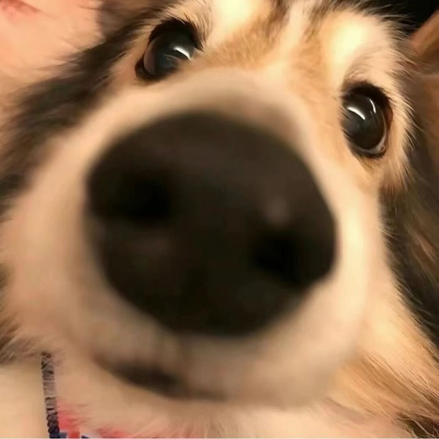 個人代碼經驗分享