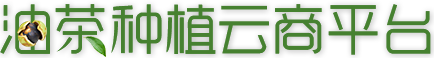 油茶種植云商平臺