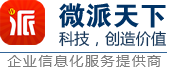 河南微派信息技術(shù)有限公司