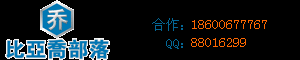 比亞喬摩托車(chē)部落
