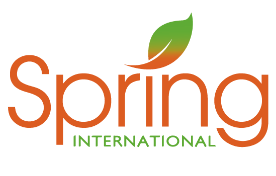 新加坡春天國際學院：AEIS