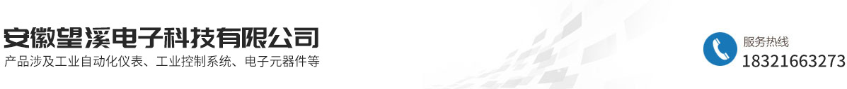 安徽望溪電子科技有限公司