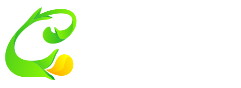 小宅貓