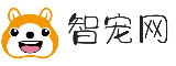 智寵網(wǎng)