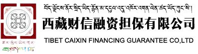 西藏財信融資擔保有限公司